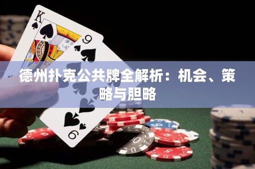 德州撲克公共牌全解析：機會、策略與膽略