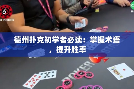 德州撲克初學者必讀：掌握術(shù)語，提升勝率