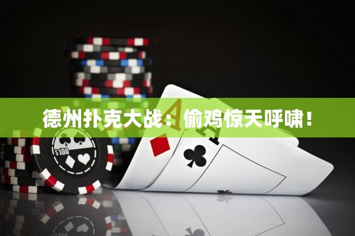 德州撲克大戰(zhàn)：偷雞驚天呼嘯！