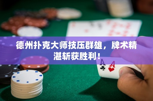 德州撲克大師技?jí)喝盒?，牌術(shù)精湛斬獲勝利！