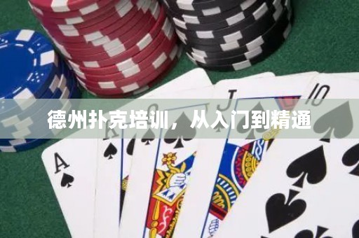 德州撲克培訓(xùn)，從入門(mén)到精通