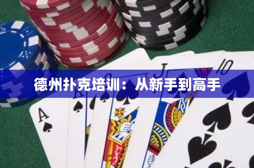 德州撲克培訓(xùn)：從新手到高手
