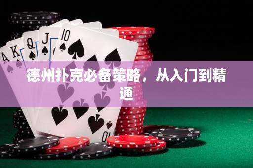 德州撲克必備策略，從入門到精通