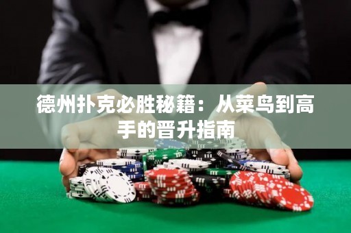 德州撲克必勝秘籍：從菜鳥到高手的晉升指南