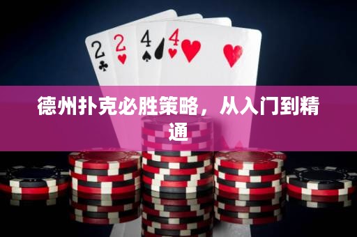 德州撲克必勝策略，從入門到精通