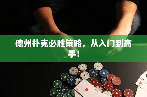 德州撲克必勝策略，從入門(mén)到高手！