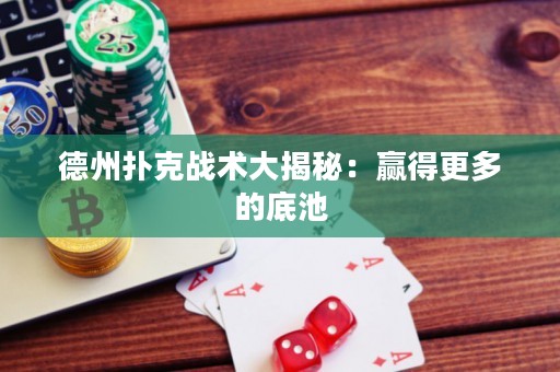 德州撲克戰(zhàn)術(shù)大揭秘：贏得更多的底池