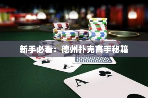 新手必看：德州撲克高手秘籍