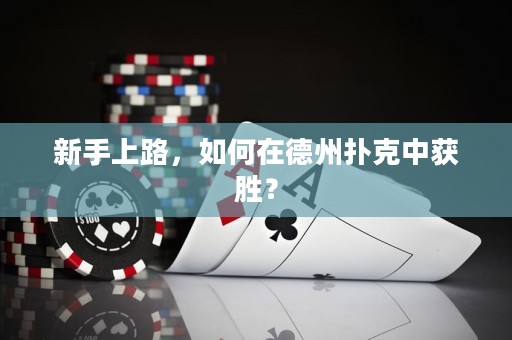 新手上路，如何在德州撲克中獲勝？