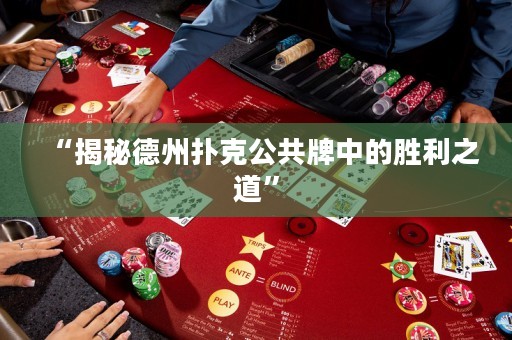 “揭秘德州撲克公共牌中的勝利之道”