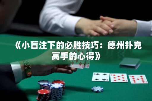 《小盲注下的必勝技巧：德州撲克高手的心得》