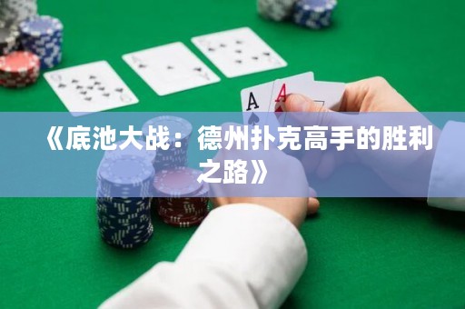 《底池大戰(zhàn)：德州撲克高手的勝利之路》