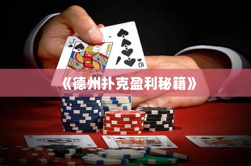 《德州撲克盈利秘籍》