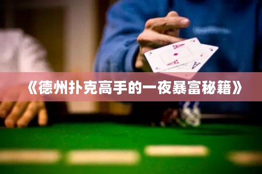 《德州撲克高手的一夜暴富秘籍》