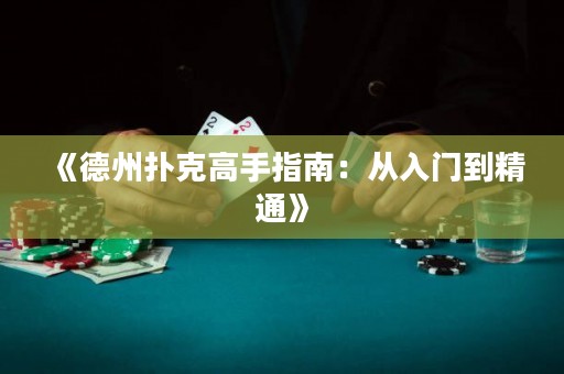 《德州撲克高手指南：從入門到精通》