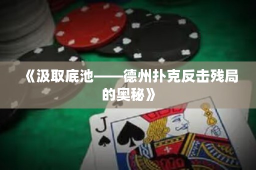 《汲取底池——德州撲克反擊殘局的奧秘》