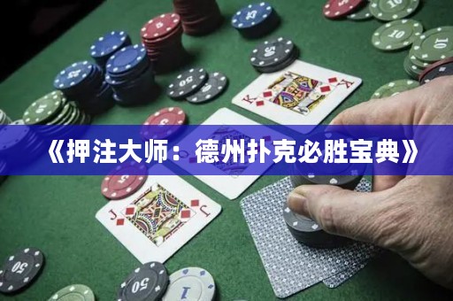 《押注大師：德州撲克必勝寶典》