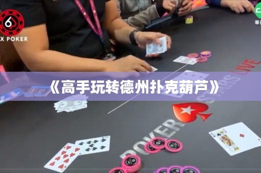 《高手玩轉(zhuǎn)德州撲克葫蘆》