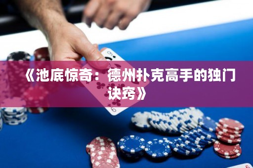 《池底驚奇：德州撲克高手的獨(dú)門訣竅》